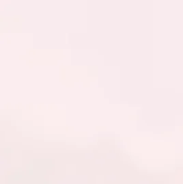 Asset